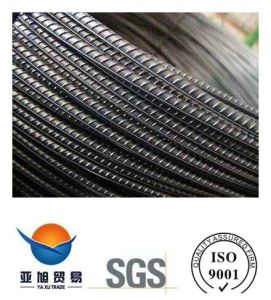 Steel Rebar in Coil for Construction Material