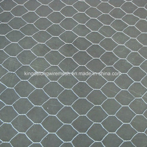 Gabion Box/Gabion Mesh/Hexagonal Wire Mesh/Gabion